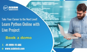 Join The Python Training Institute in Noida